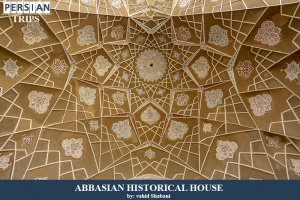 Kashan-Abbasian-historical-House3