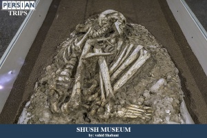Shush-museum6