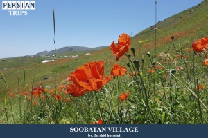 Soobatan-village9