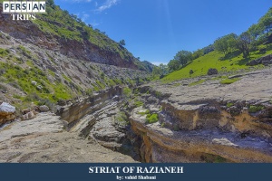 striat-of-Razianeh2