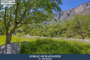 striat-of-Razianeh3