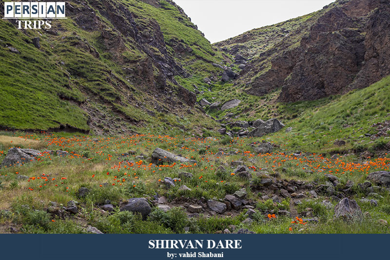 Shirvan Darreh Si