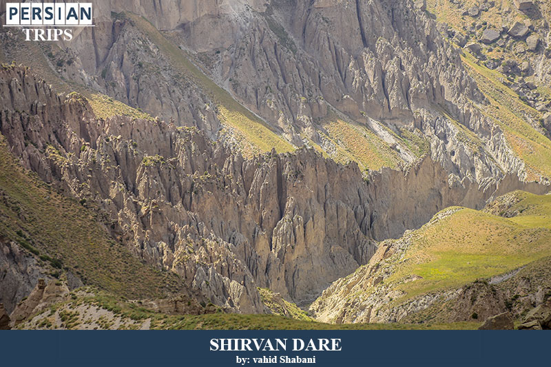 Shirvan Dare9