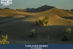 Varzaneh desert2