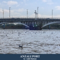Anzali port2